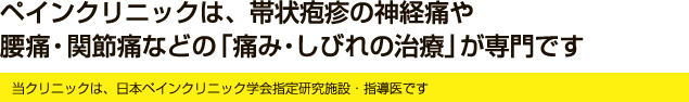 ペインクリニックは、帯状疱疹の神経痛や腰痛・関節痛などの「痛み・しびれの治療」が専門です 当クリニックは、日本ペインクリニック学会指定研究施設・指導医です