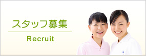 スタッフ募集